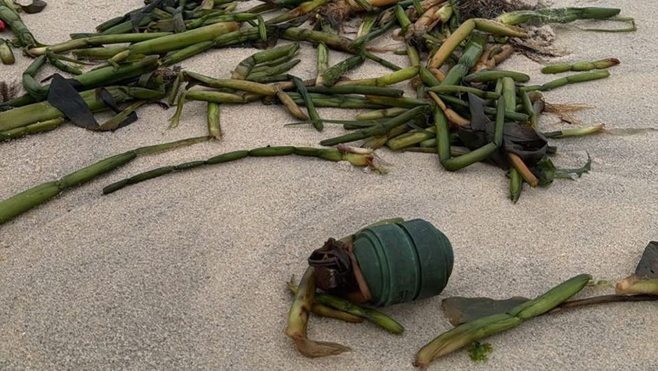 Voluntários recolhiam lixo quando se depararam com uma granada na Praia Grande