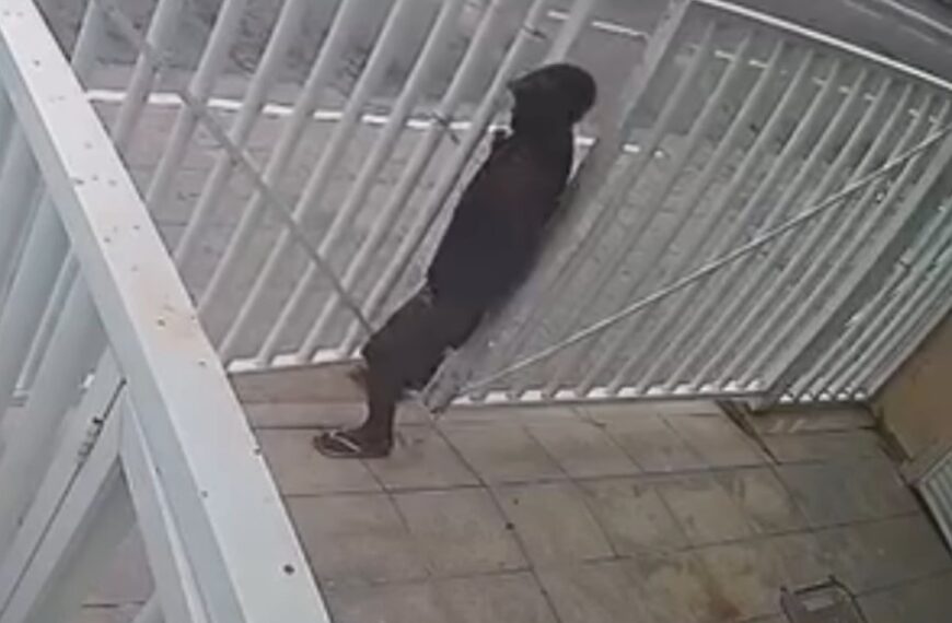 Criminoso é filmado levando portão de alumínio de residência no Centro de Macaé