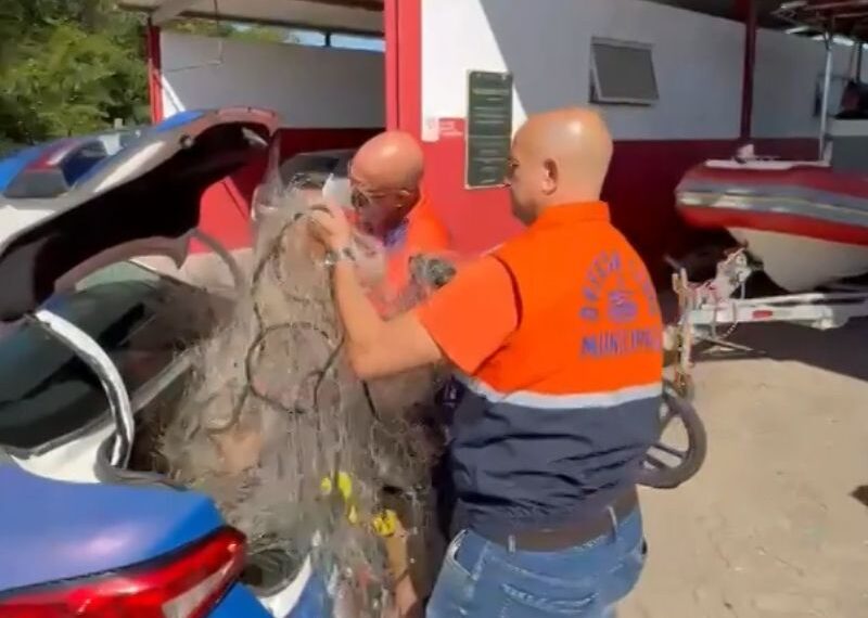Denúncia de pescadores e ação rápida dos Bombeiros salvam baleia presa em rede em Rio das Ostras