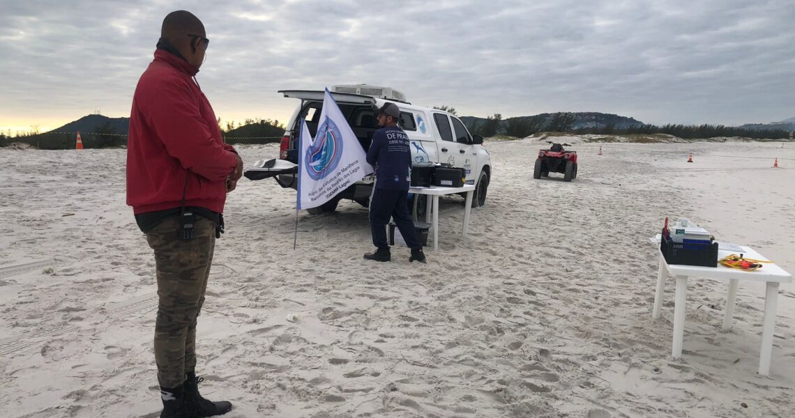 Equipes enterram jubarte após ação de dias no litoral