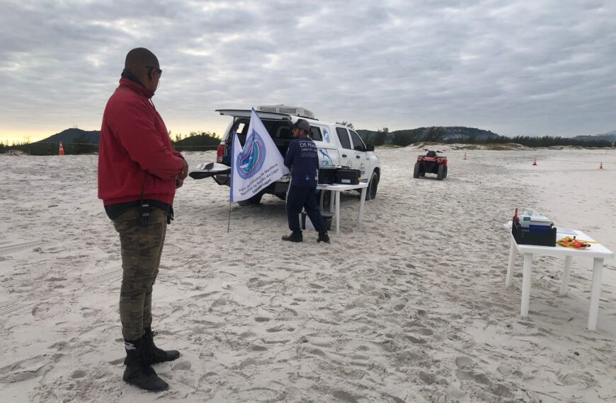 Equipes enterram jubarte após ação de dias no litoral