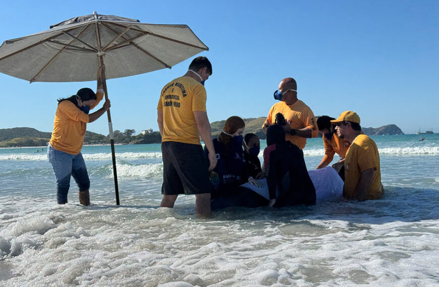 Drama no mar Cachalote encalha pela terceira vez em Cabo Frio