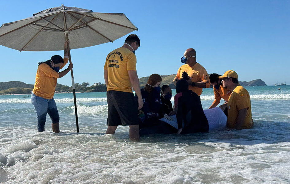 Drama no mar Cachalote encalha pela terceira vez em Cabo Frio