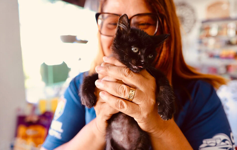 Quer adotar um pet? Cabo Frio promove feira neste sábado