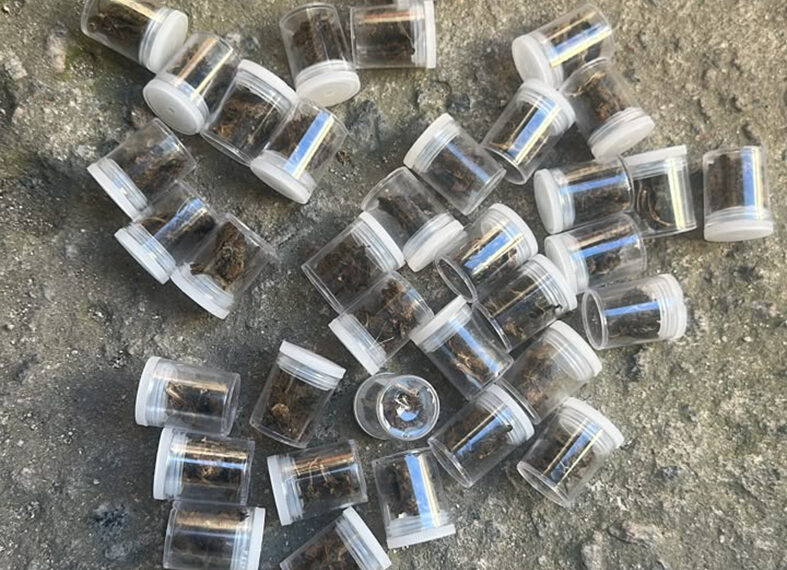 Arraial do Cabo: Polícia apreende drogas escondidas na orla, mas suspeitos conseguem fugir