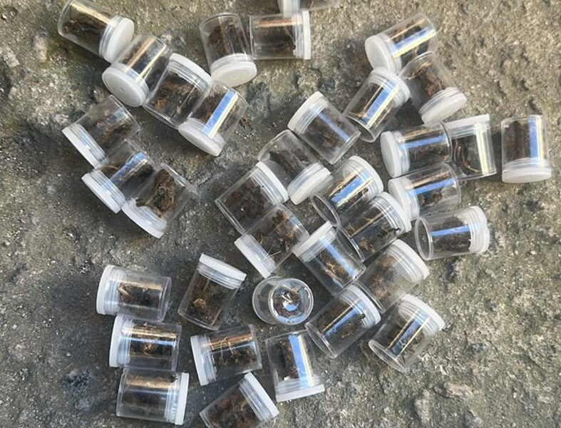 Arraial do Cabo: Polícia apreende drogas escondidas na orla, mas suspeitos conseguem fugir