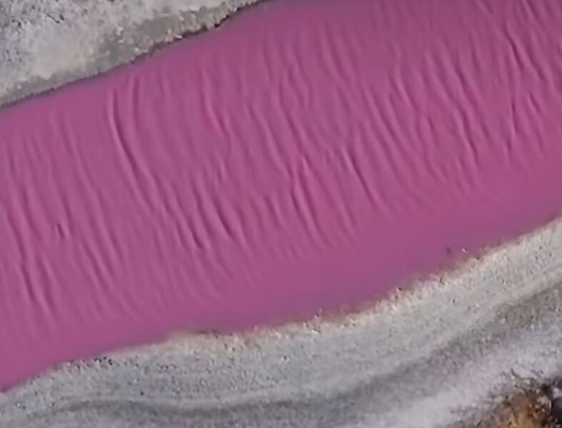 Imagens aéreas mostram beleza incomum das Salinas, em Cabo Frio