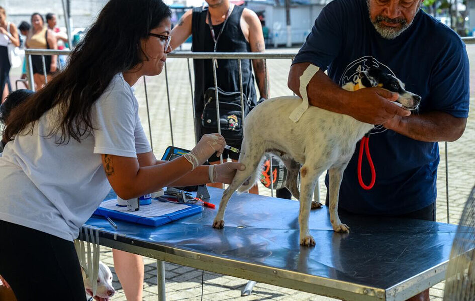 Castramóvel volta a Cabo Frio para nova rodada de castrações gratuitas