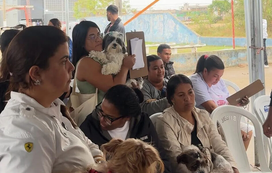 Castramóvel amplia acesso à castração gratuita em Cabo Frio