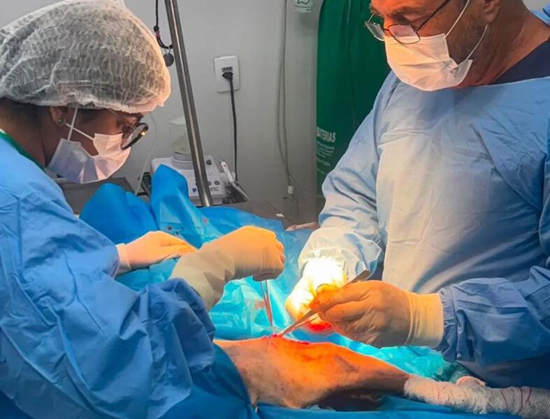 Cabo Frio fortalece proteção animal com cirurgias ortopédicas gratuitas