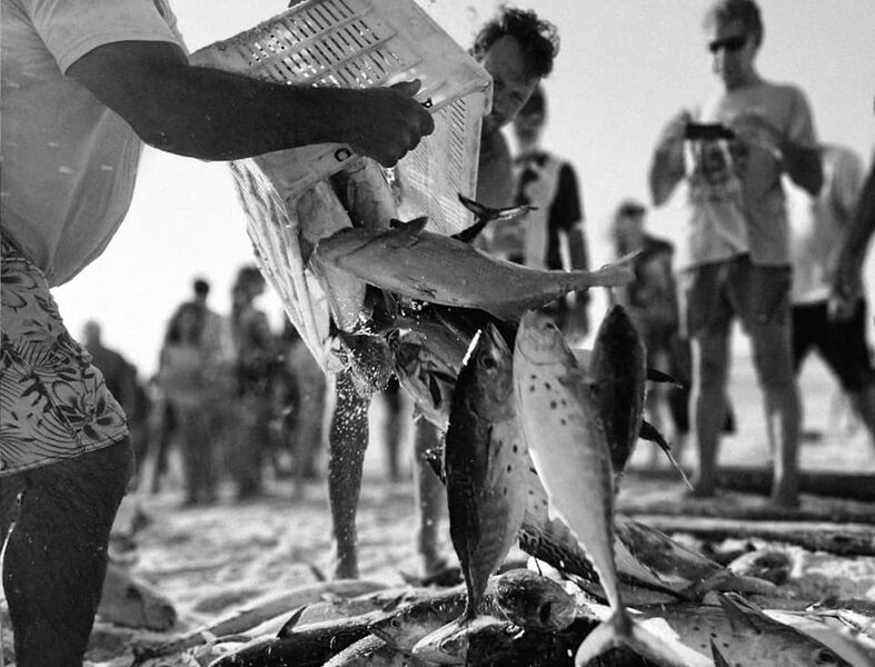 Novo programa de Arraial do Cabo prevê até R$ 2,5 mil para pescadores