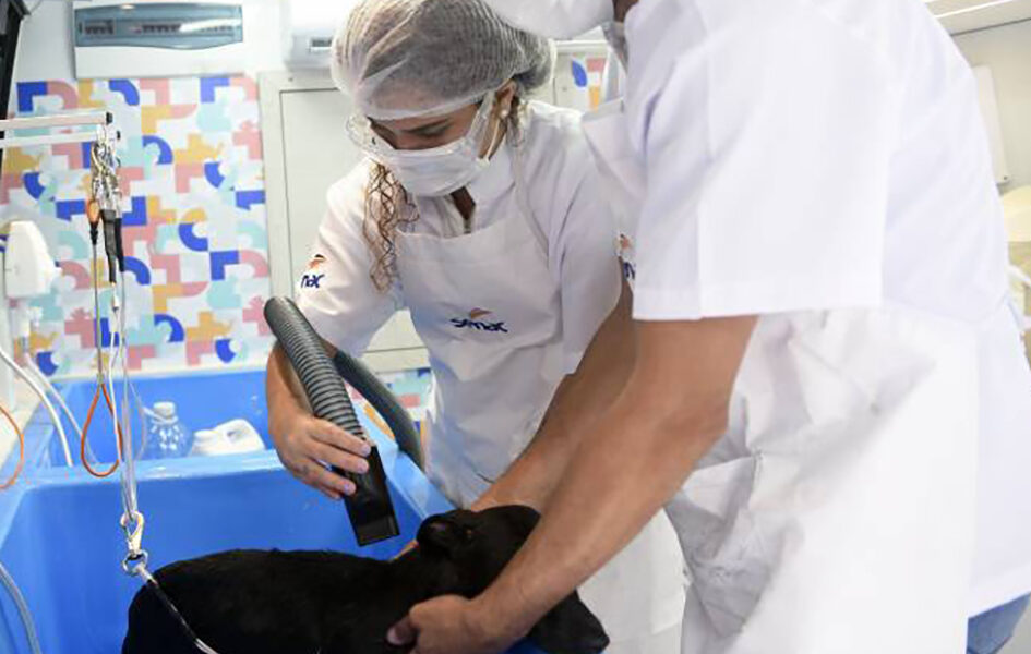 Pet Móvel chega a Cabo Frio com serviços gratuitos para animais e capacitação