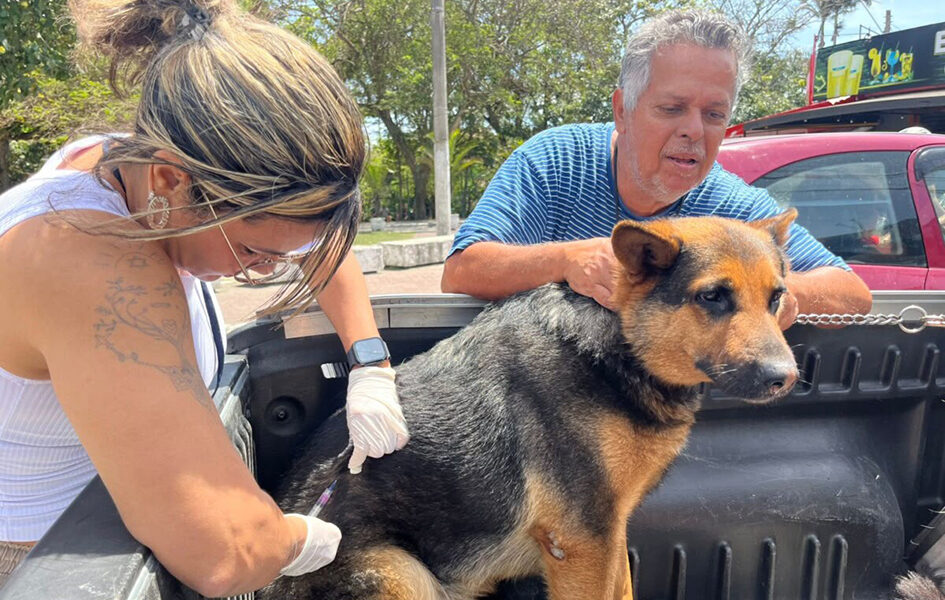 Cabo Frio começa campanha de vacinação antirrábica neste sábado (19)