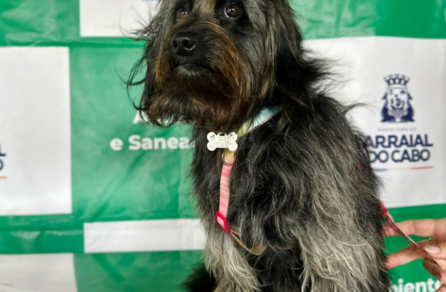 Arraial do Cabo amplia acesso a exames para castração de cães