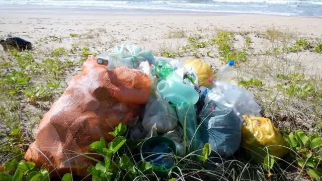 Praias de Cabo Frio acumulam 229 toneladas de resíduos em três dias